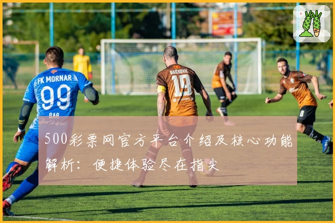 500彩票网官方平台介绍及核心功能解析：便捷体验尽在指尖