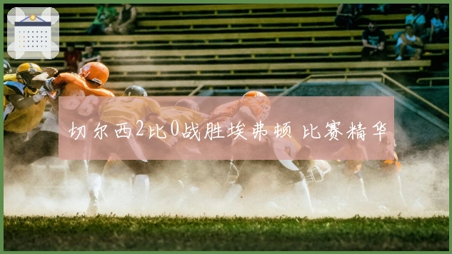 切尔西2比0战胜埃弗顿 比赛精华